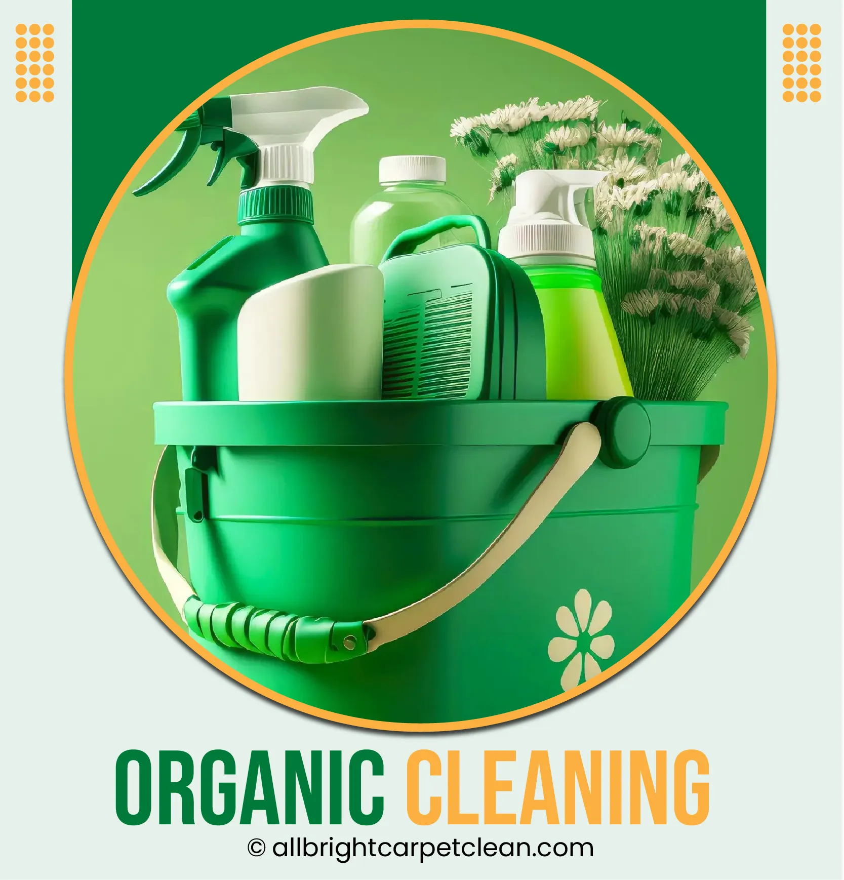 Organic Cleaning