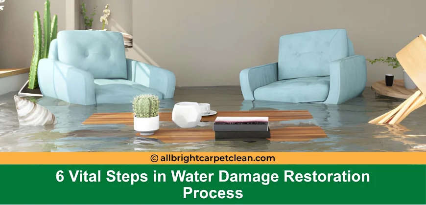 6 Vital Steps in Water Damage Restoration Process